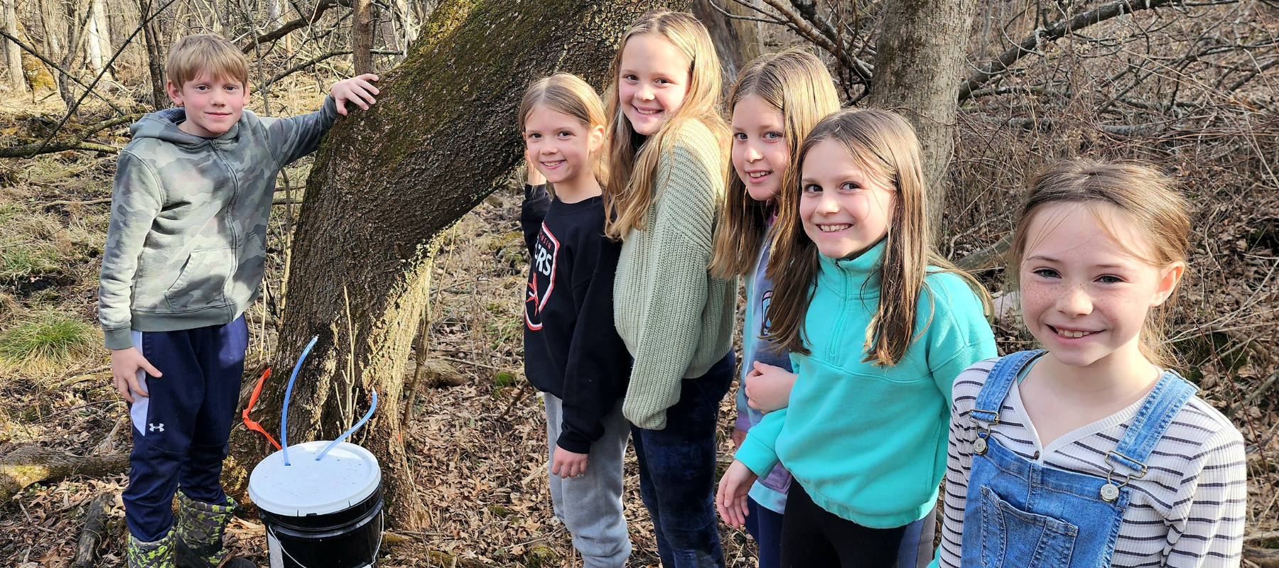 students collecting tapping maple trees