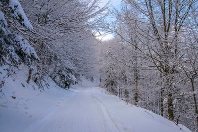 Snowy Road Picture